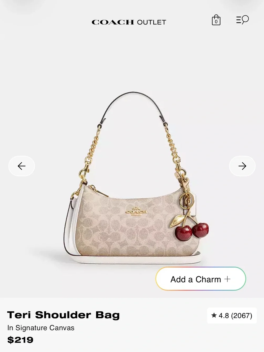 Coach signature canvas